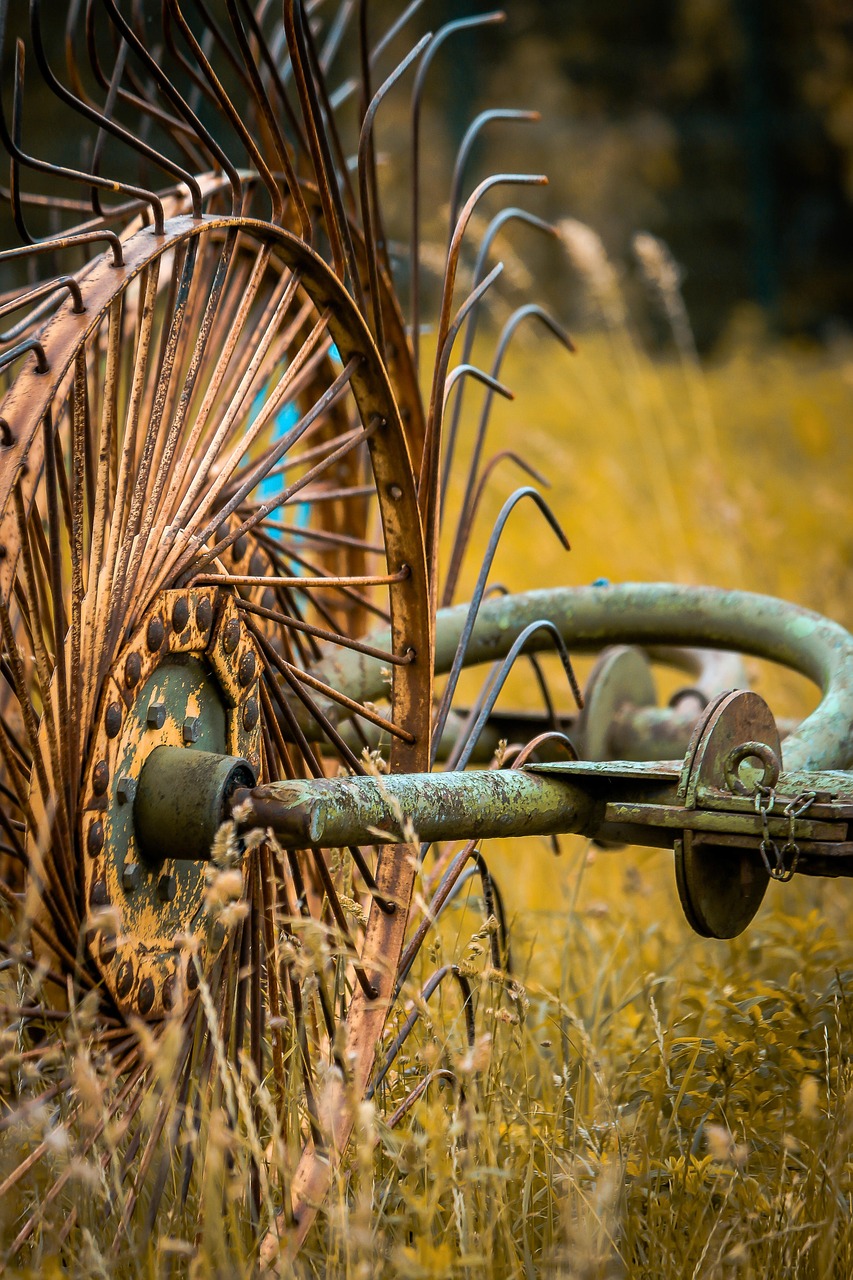 gear, fields, culture, agriculture, labour, plowing, wheel, rural, old, nostalgia, tractor, mechanics